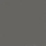 Warm Grey 5